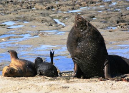 schlielich soll der Kleine ...